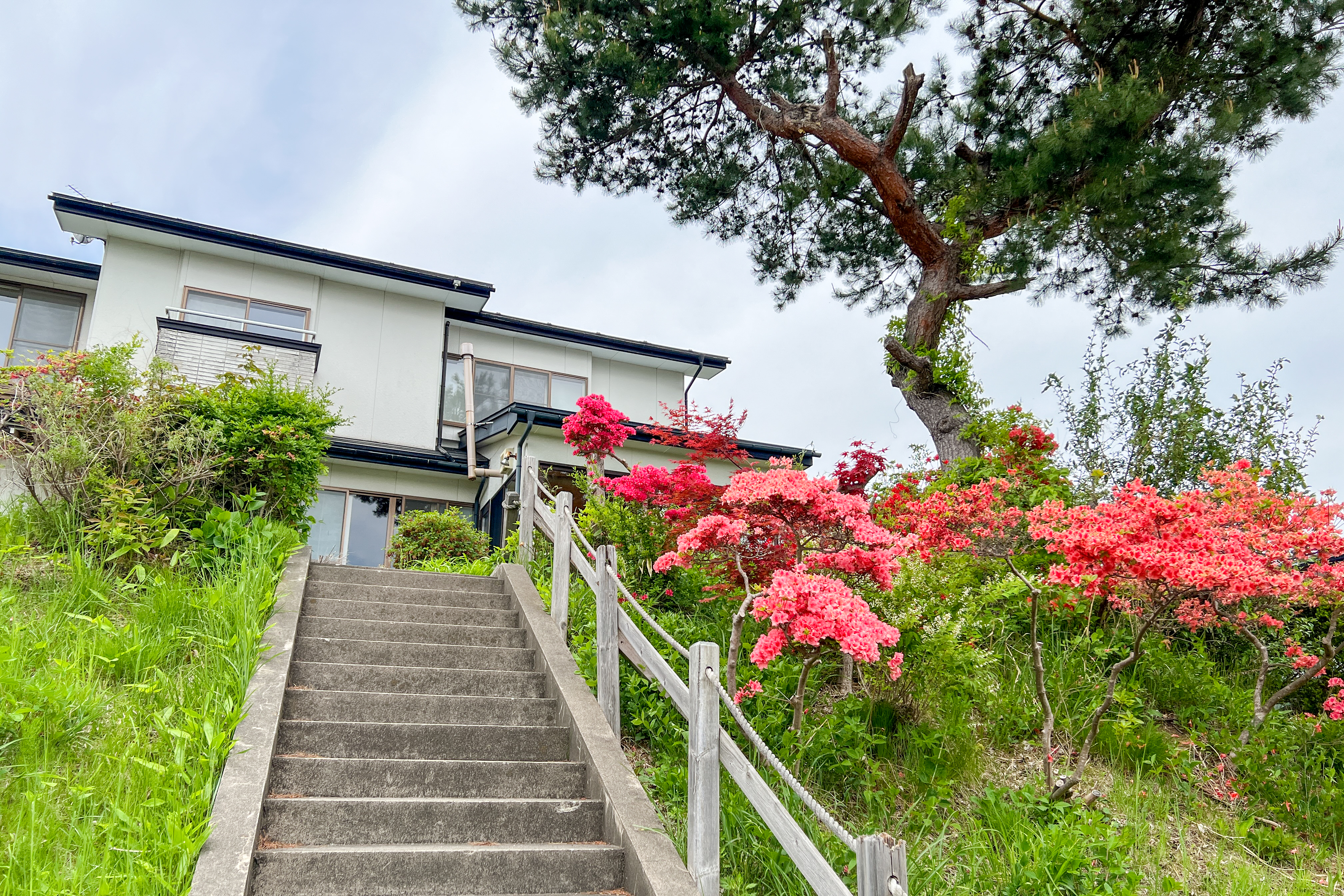 外観とツツジが彩るアプローチ